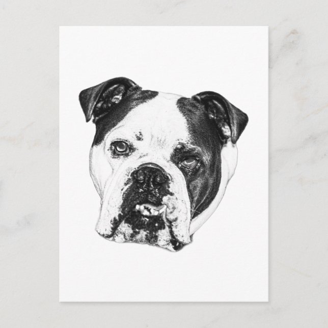 Quick Hello Bulldog Postcard (Front)