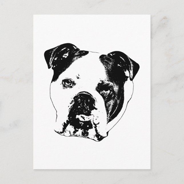 Quick Hello Bulldog Postcard (Front)