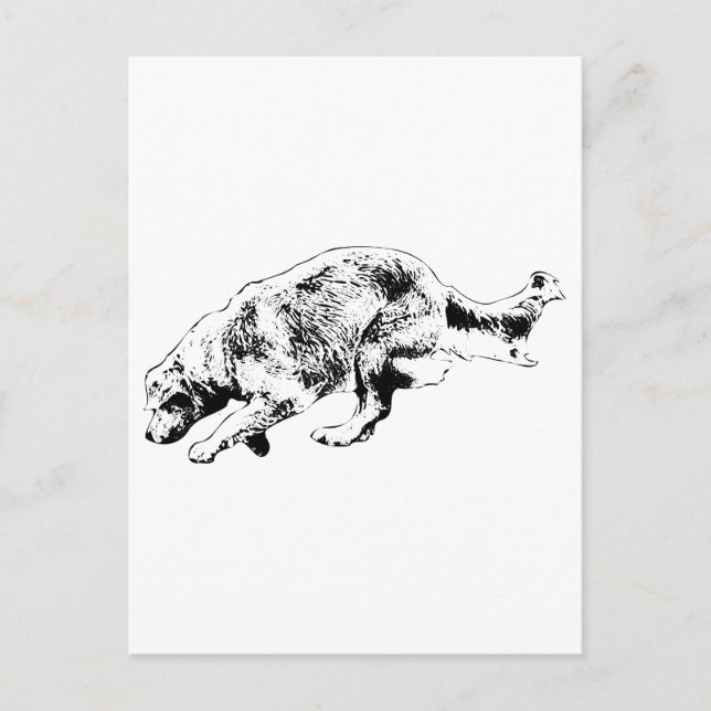 Quick Note: Golden on the Go Postcard (Front)