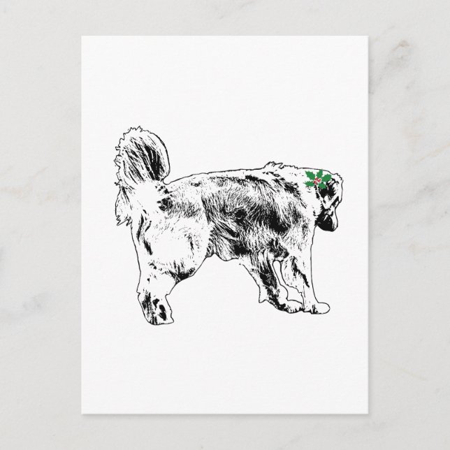 Quick Retriever Wish Postcard (Front)