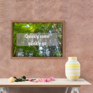 Quickly come quickly go encouragement  poster