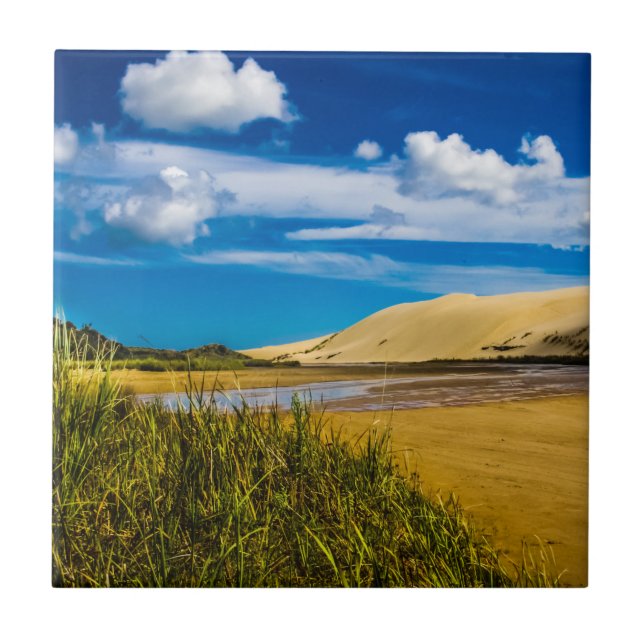 Quicksand stream near 90-Mile Beach, New Zealand Ceramic Tile (Front)