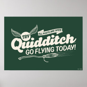 QUIDDITCH™ Recruitment Poster