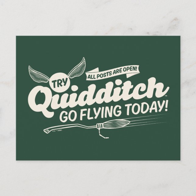 QUIDDITCH™ Recruitment Poster Postcard (Front)