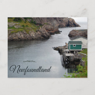 Quidi Vidi Newfoundland Canada Postcard