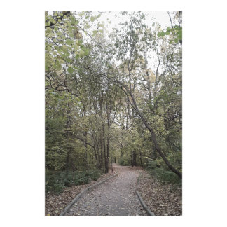 Quiet Autumn Forest Path – Scandinavian Edition Photo Print