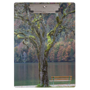 Quiet bench along a lake, Germany Clipboard