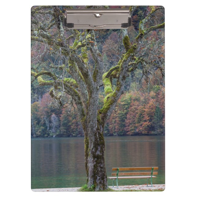 Quiet bench along a lake, Germany Clipboard (Front)