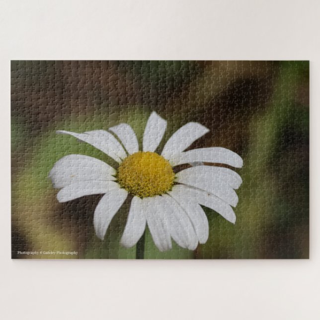 Quiet Bloom – Great Smoky Mountains Daisy Jigsaw Puzzle (Horizontal)