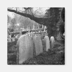 quiet cemetery magnet