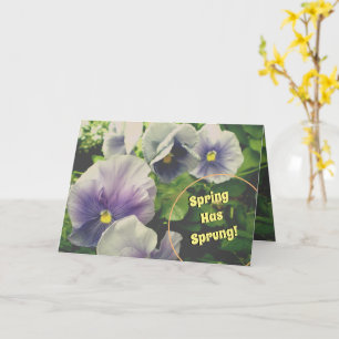 Quiet Conversations Violets~Easter greeting card