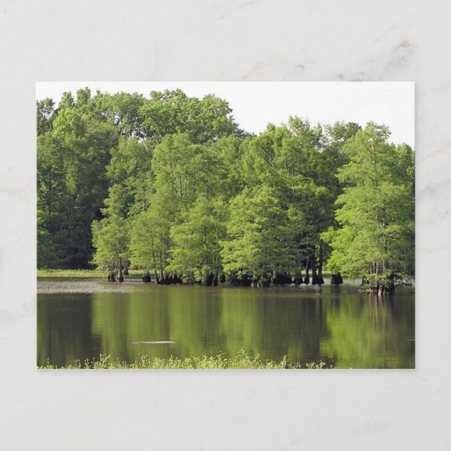 Quiet Cove Postcard (Front)