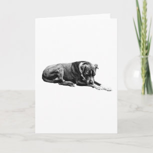 Quiet Gaze Dog Card
