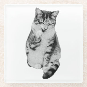 Quiet Groom Glass Coaster