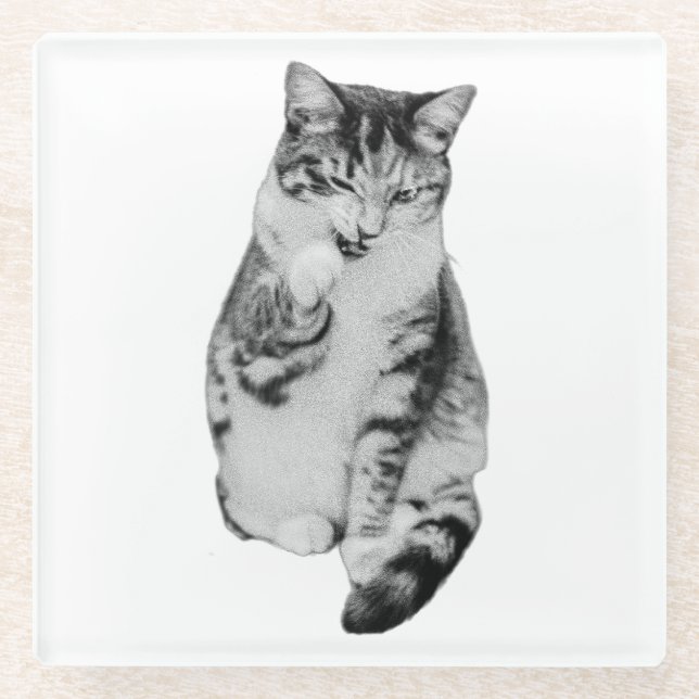 Quiet Groom Glass Coaster (Front)