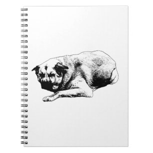 Quiet Harmony, Light Trace Notebook