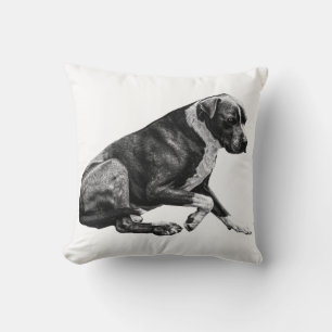 Quiet light companion cushion