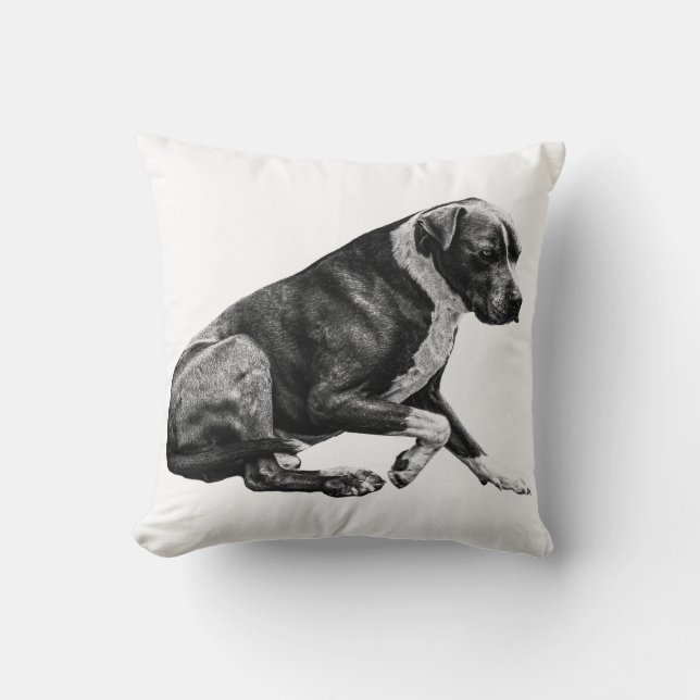 Quiet light companion cushion (Front)