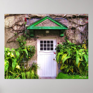 Quiet Man Door Print