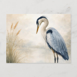 Quiet Marsh Heron   Blue Heron   Postcard