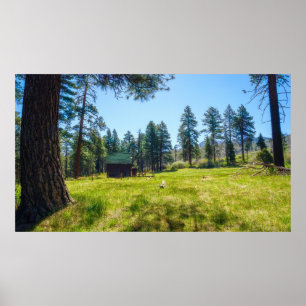 Quiet Meadow Refuge Forest Poster with Cabin