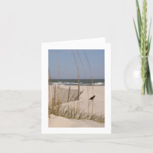 Quiet Moment on a Hilton Head Beach Card