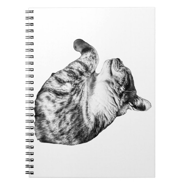 Quiet Pages, Warm Paws Notebook (Front)