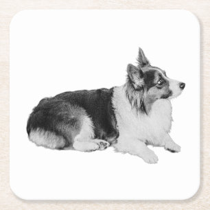 Quiet Pause Square Paper Coaster