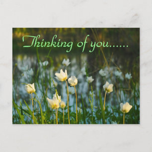 QUIET PLACE POSTCARD
