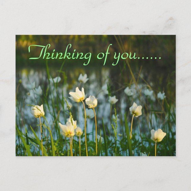 QUIET PLACE POSTCARD (Front)