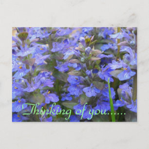 QUIET PLACE POSTCARD