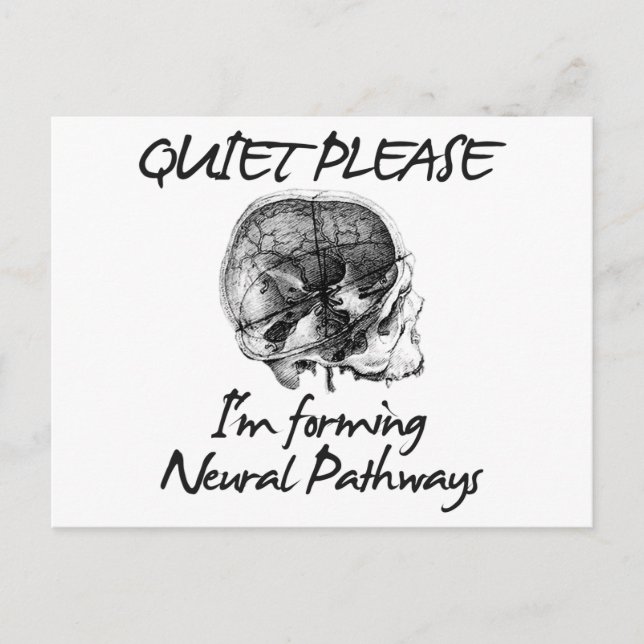Quiet Please: I'm Forming Neural Pathways Postcard (Front)