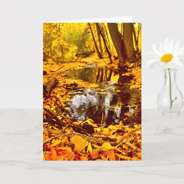 Quiet Reflection Card (Small Plant)