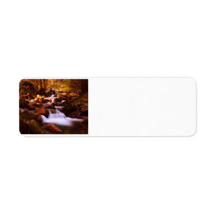 Quiet Stream Return Address Label