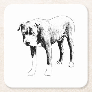 Quiet Tablekeeper, Loyal Study Square Paper Coaster