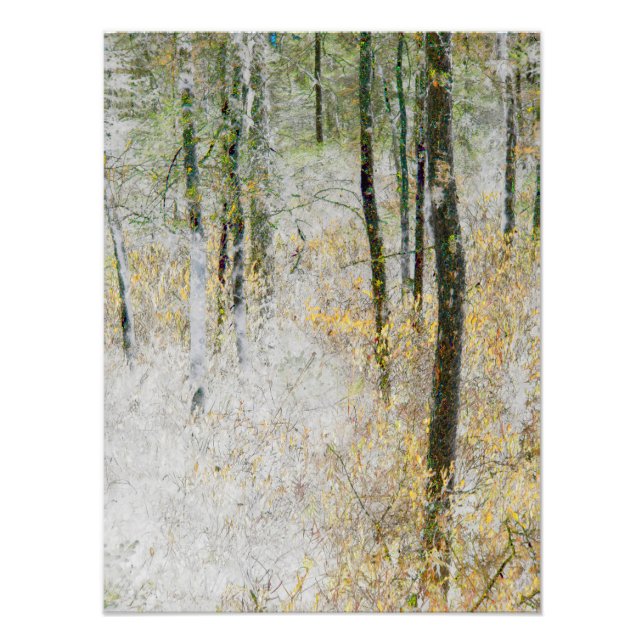 "Quiet" - Transformed photo of trees in a forest Print (Front)