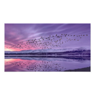 Quiet Twilight Waters Under Pink And Purple Sky Ph Photo Print