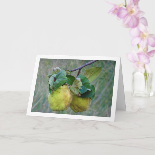 Quince Fruit Card (Orchid)