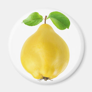 Quince fruits magnet