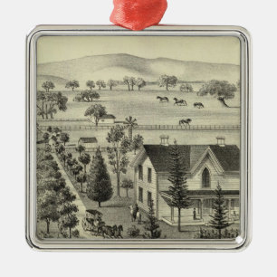 Quinn residence metal ornament