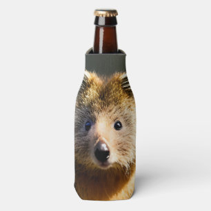 Quintin The Ginger Quokka, Bottle Cooler