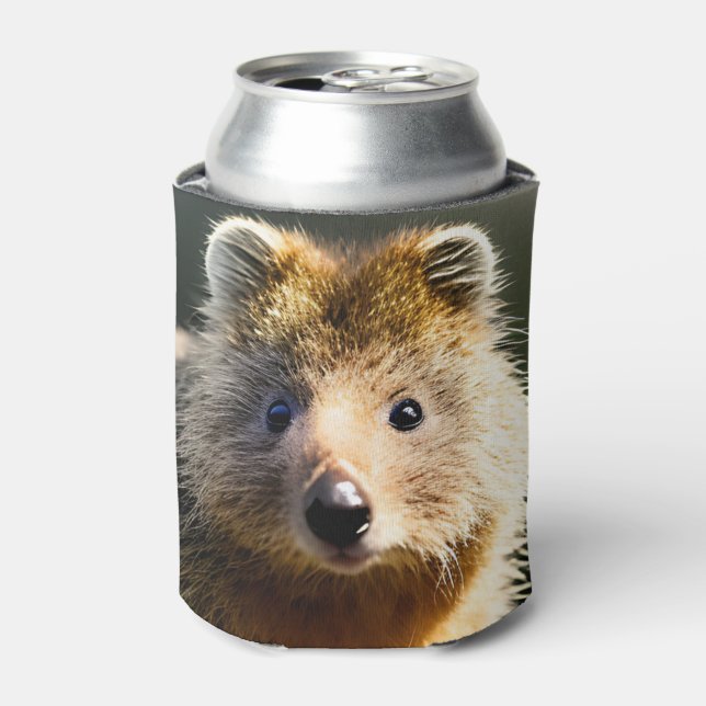 Quintin The Ginger Quokka, Can Cooler (Can Front)