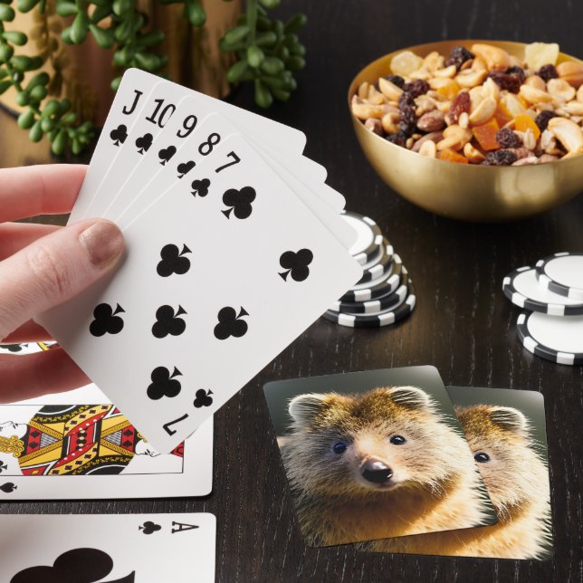 Quintin The Ginger Quokka, Deck Of Playing Cards (In Situ)