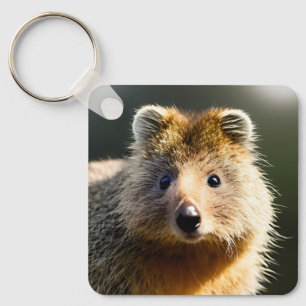 Quintin The Ginger Quokka, Keyring