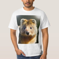 Quintin The Ginger Quokka, Mens Value Tshirt