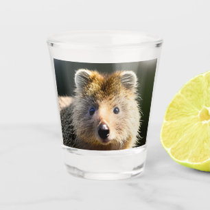 Quintin The Ginger Quokka, Shot Glass
