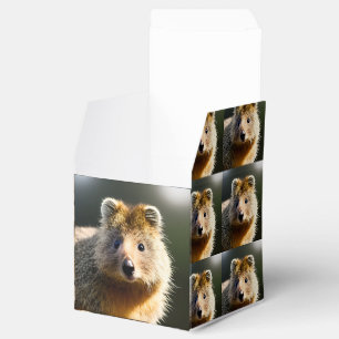 Quinton The Ginger Quokka, Favour Box