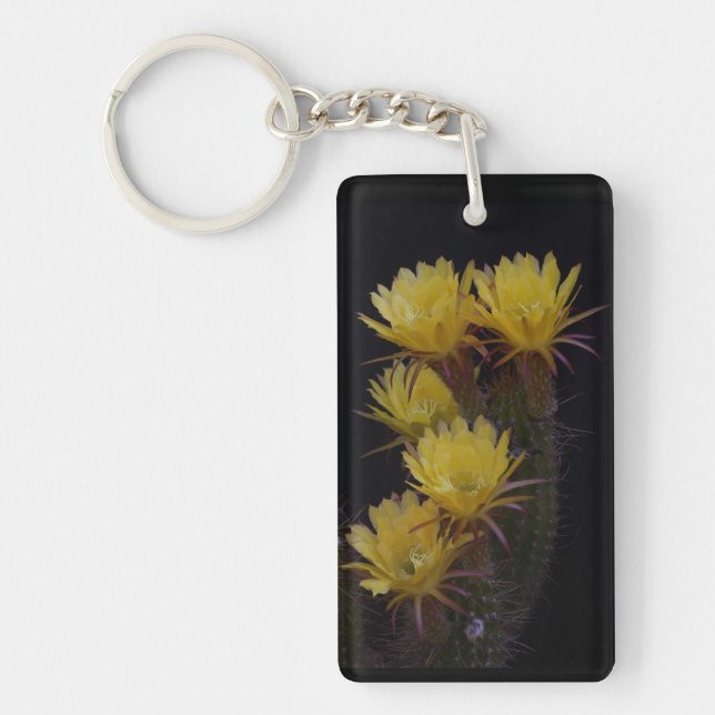 Quintuple of cactus flowers key ring (Front)