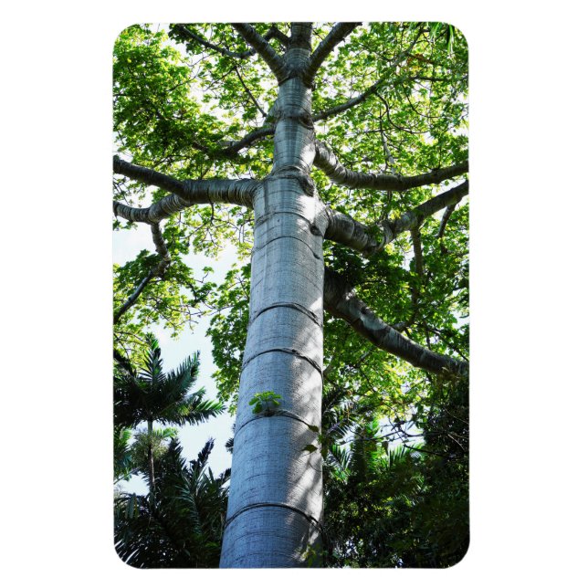 Quipo Tree Photo Magnet (Vertical)