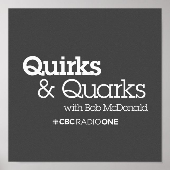Quirks & Quarks Poster (Front)